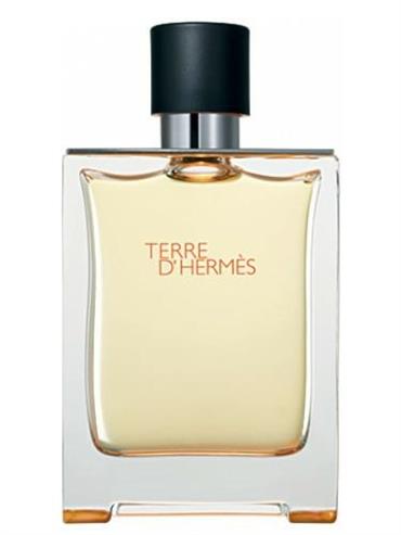 HERMES Terre D'Hermes Eau de Toilette 100 ml