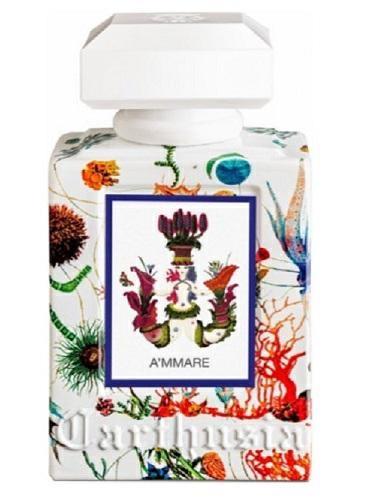 CARTHUSIA A'Mmare Eau de Parfum 100 ml