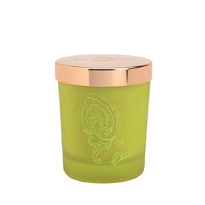 ETRO Ambiente Dafne Candela Profumata 170 g