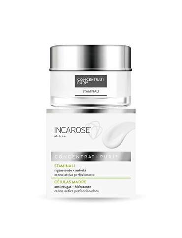 INCAROSE CONCENTRATI PURI STAMINALI CREMA VISO 50ML