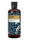 BIOEARTH FAMILY LEGNOSO E SPEZIATO SHAMPOO DOCCIA 500ML