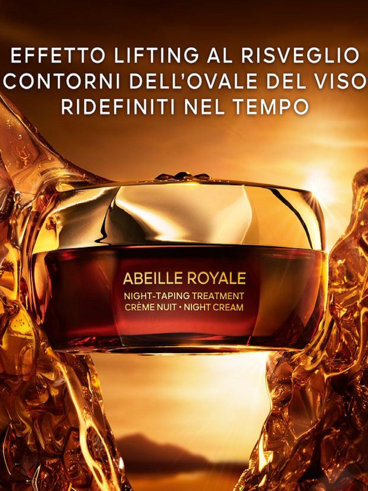 abeille-nuit-new