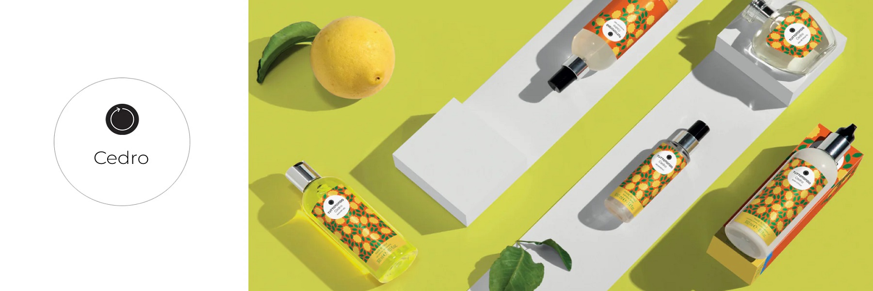 cedro-banner-1800x600